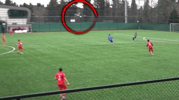 Seagull Knocked Unconscious By Soccer Ball