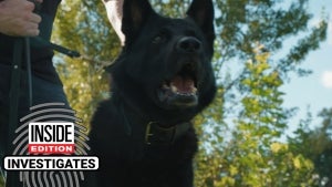 Suspects Say Cops Sicced K9s On Them Unnecessarily