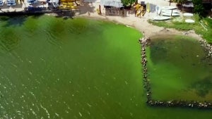  Contamination Has Turned This Venezuelan Lake Neon Green