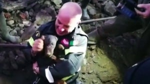Firefighters Uses Bare Hands to Rescue Dogs Trapped in Fox Den