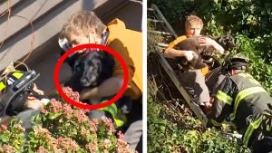 Couple Find Missing Dog in Rubble 6 Days After Landslide Almost Killed Them