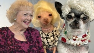 Shelter Dog Dresses in Pearls in Honor of Betty White’s 100 Birthday