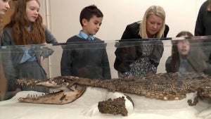 Mummified Saltwater Crocodile Found Beneath Floor of Classroom in Wales