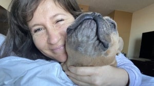 Woman’s Runaway French Bulldog ‘Rescued’ in Los Angeles Ends Up 3000 Miles Away