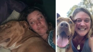 Woman Wakes Up Next to Strange Dog in Bed in Georgia