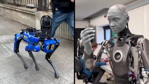 A Robo-Dog That Fights Crime and Other Innovative but Creepy Robot Inventions