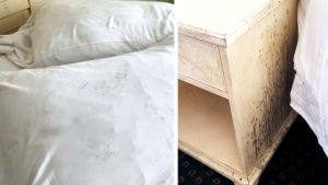 Group of Women Finds Mold in South Carolina Hotel Room During Girls Trip