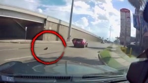 Dash Cam Footage Captures Small Child Falling Out of Car in Texas 