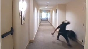 California Man Caught on Camera Kicking and Hitting Scared Dog 