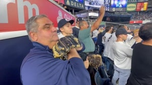 New York Yankees Superfan Wants to Catch Aaron Judge’s 61st Homer 