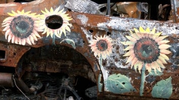 Artists Paint Sunflowers on Burnt-Out Cars in Ukraine