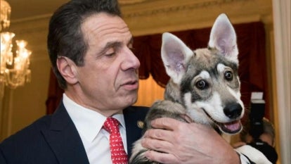 Andrew Cuomo and his dog