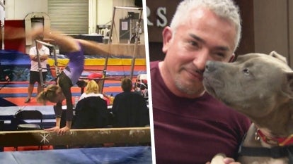 Celebrity dog trainer Cesar Millan is being sued by a 19-year-old woman who says her dreams of being an Olympic gymnast were dashed after she was attacked by Millan’s pit bull. 