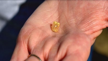Woman finds diamond at state park.