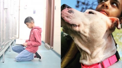 Evan Bisnauth,11, reading to the dogs at the shelter and a photo of him with a dog looking for a forever home.