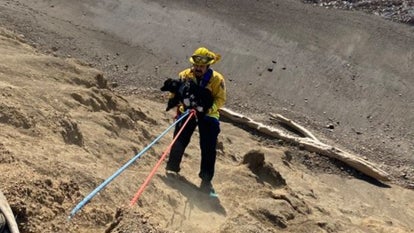 Rescuer saves 9-month-old puppy from fall off California cliff. 