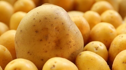 A stock image of a potatoes.