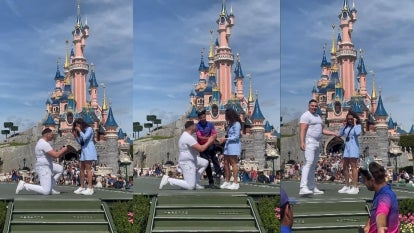 Disney Proposal 