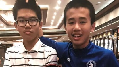 The brothers were swimming at a community pool when they both drowned. 