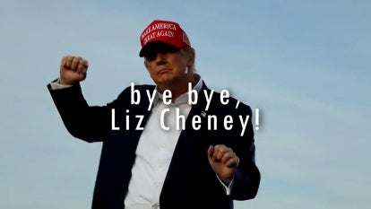 Trump Mocks Liz Cheney for Losing Primary Election