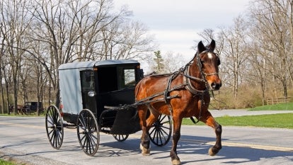 Amish buggy accident