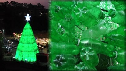 ‘Evergreen’ Is Made of 110,000 Old Plastic Bottles