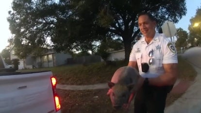 Hillsborough County Sheriff's Office