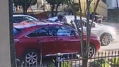 Man Fights Off Carjacker With Gumbo 