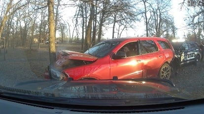 Suspect Crashes Into Tree