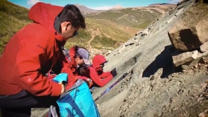 Chilean Antarctic Institute