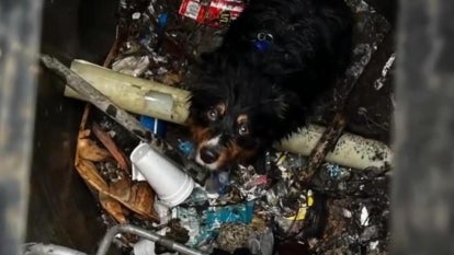 SAN BERNARDINO COUNTY FIRE RESCUE