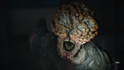 Is ‘The Last of Us’ Zombie Fungus Real? 