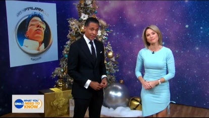 Will Amy Robach and T.J. Holmes Return to TV? 