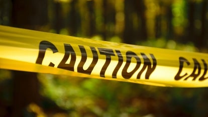 A stock image of caution tape in the woods.