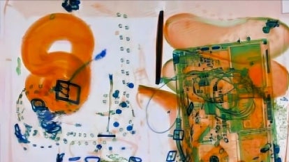 x-ray scan of a passengers carry-on bag featuring a coiled up snake