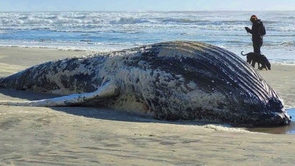 City of Atlantic City