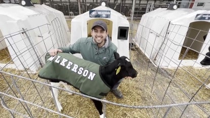 American Dairy Association North East