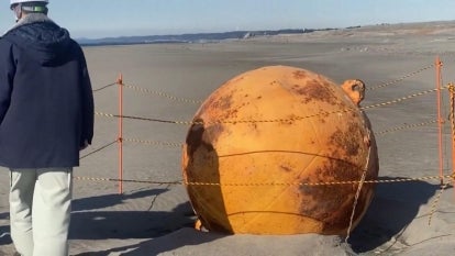 Mysterious Sphere Washes Up on Beach in Japan