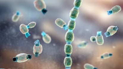 extreme close up illustration of Coccidioides fungus