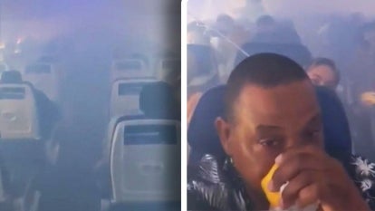 TikTok/@MarioJPenton