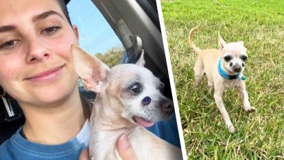 TikTok/Claudia Pizzarelli