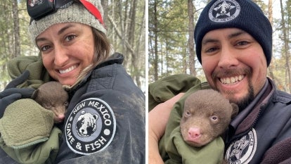 New Mexico Department of Game and Fish