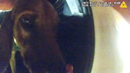 Okaloosa County Sheriff's Office