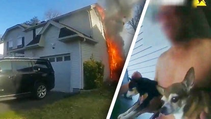 Anne Arundel County Police Department