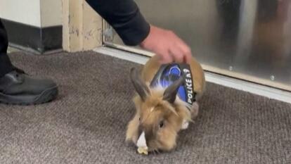 yuba city police dept 