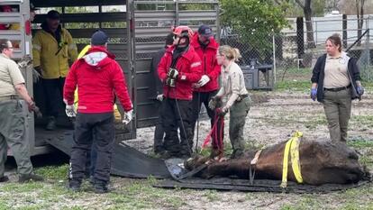 San Bernardino County Fire
