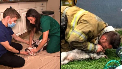 Instagram/@billy_fernando/Inside Edition