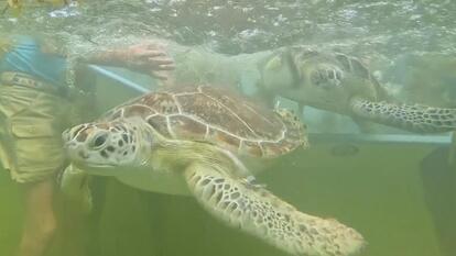 Florida Keys News Bureau