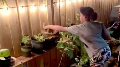 Onya Golightly, 16-year-old Black girl, grabbing python