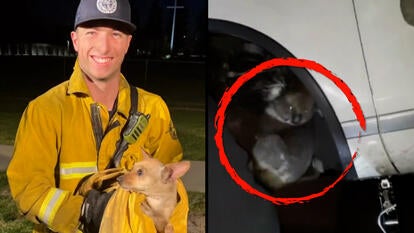 Lodi Fire Department/CH9 Metropolitan Fire Service